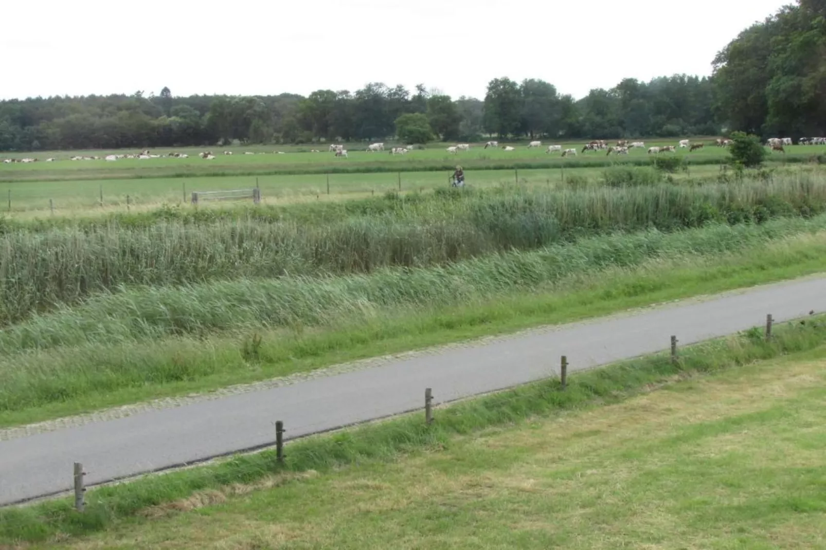 Koe in de Kost 3-Zones été à 1 km