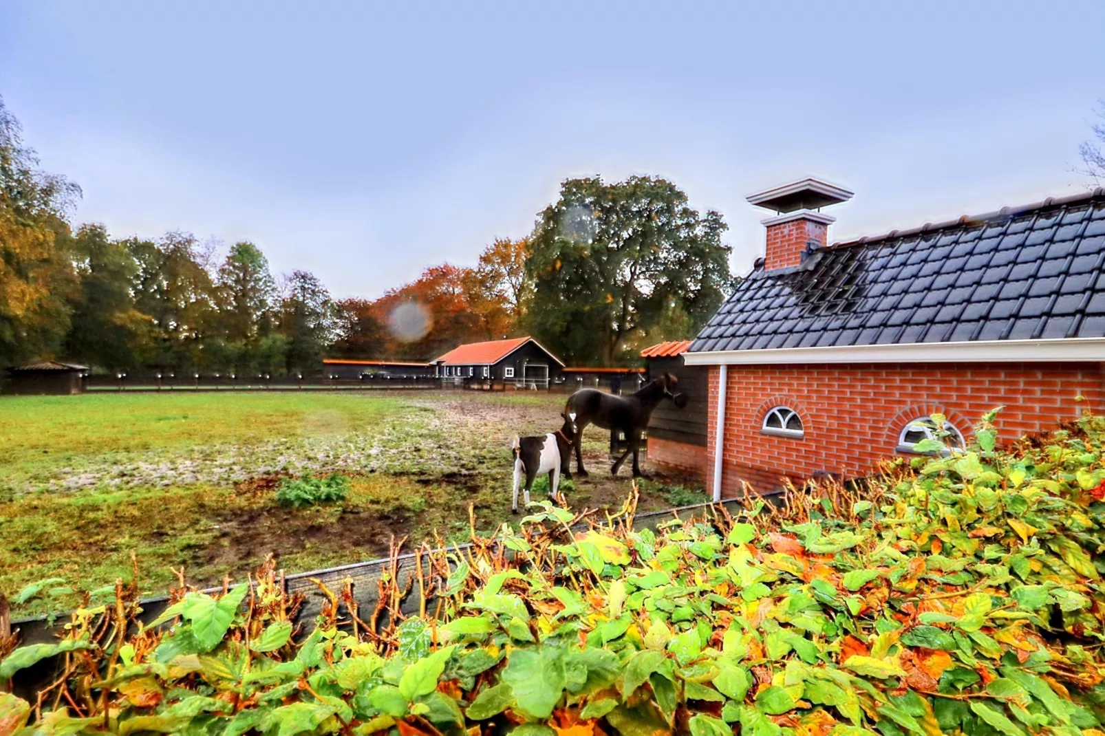Appartement Notenbomer-Gardens in summer