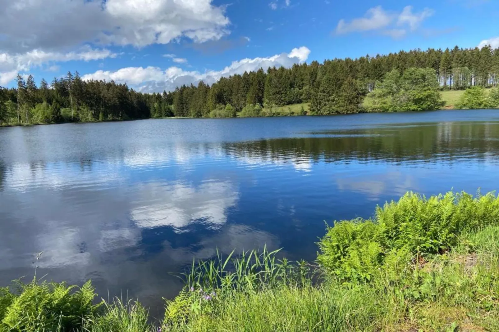 Ferienwohnung Bockwiese-Hahnenklee-Areas within 20km in summer