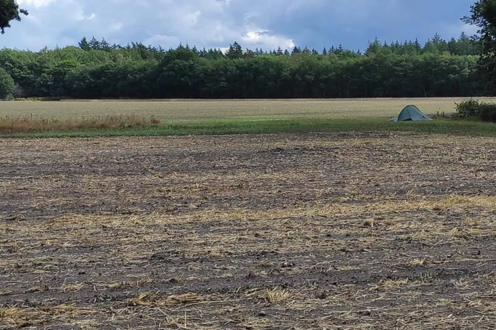 Dwergarend 17-25 - Gebiete Sommer 20 km