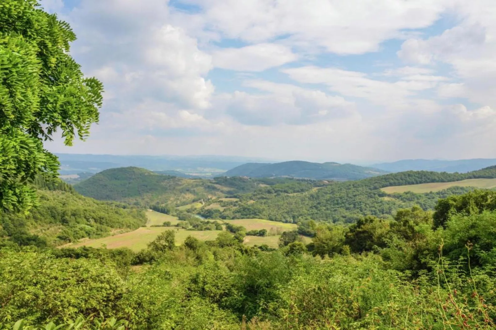 Giuditta 8-Areas within 5km in summer