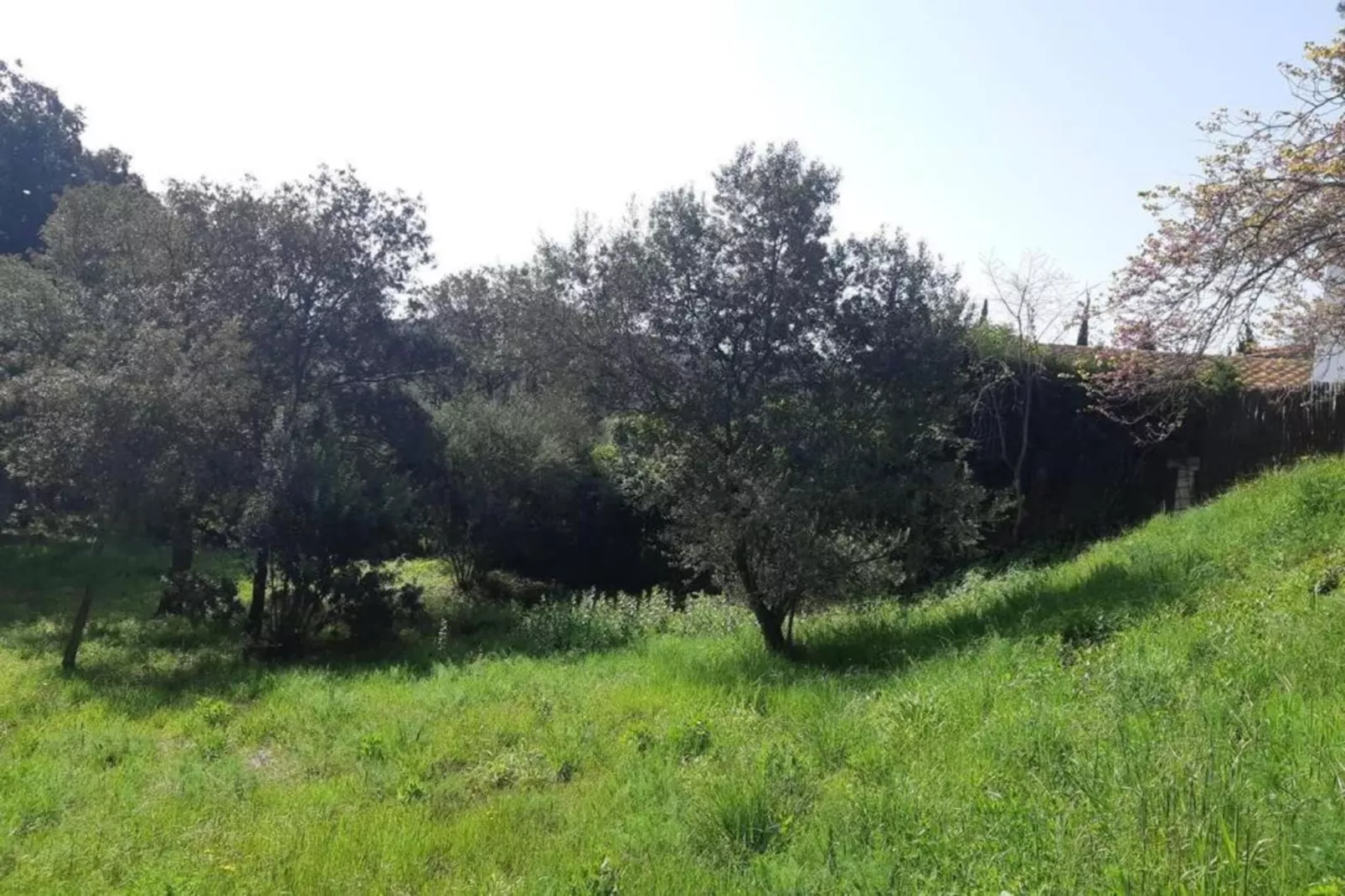 Resort Begur 4-Areas within 20km in summer