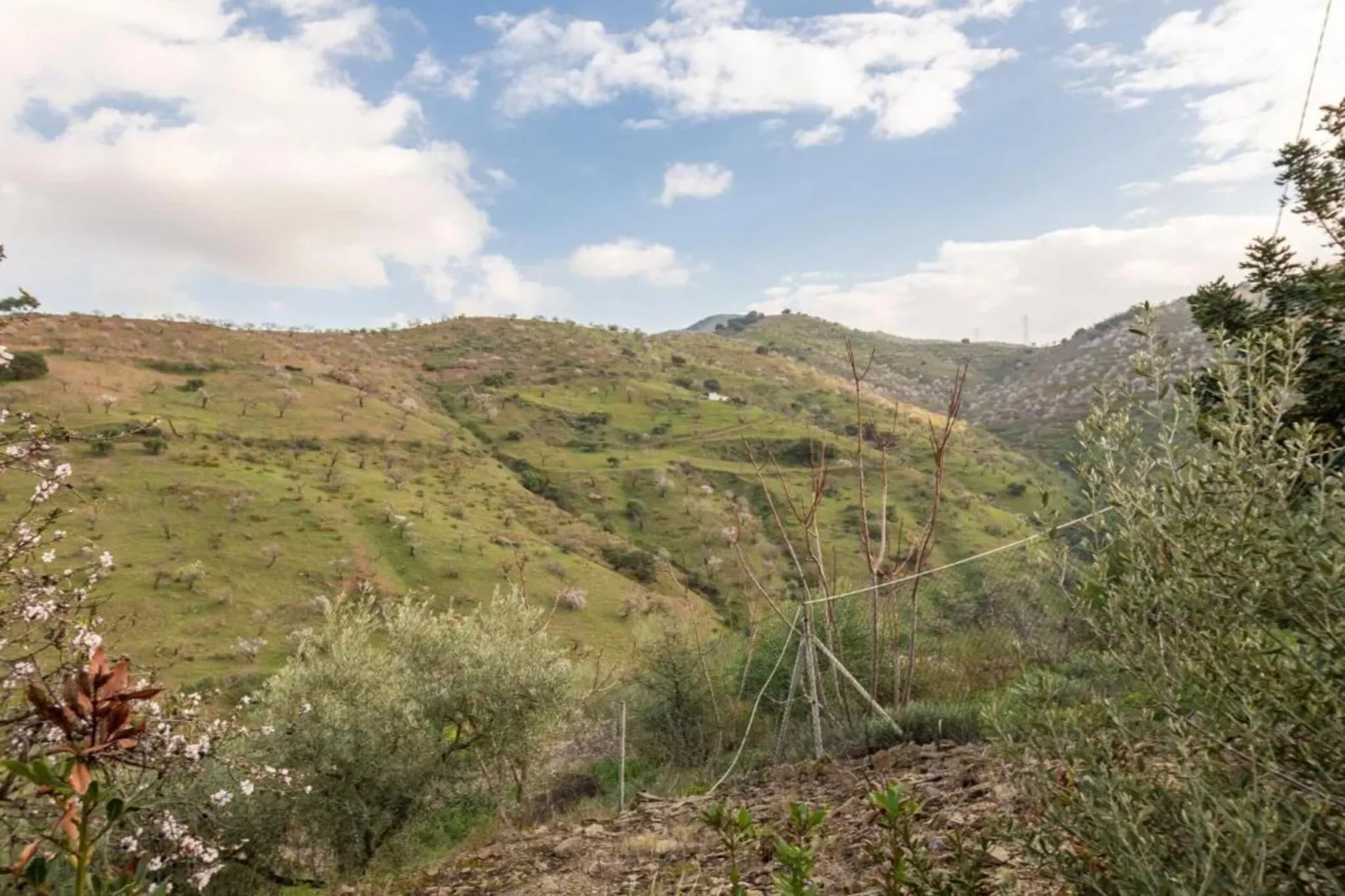 Casa el Cielo-Areas within 5km in summer