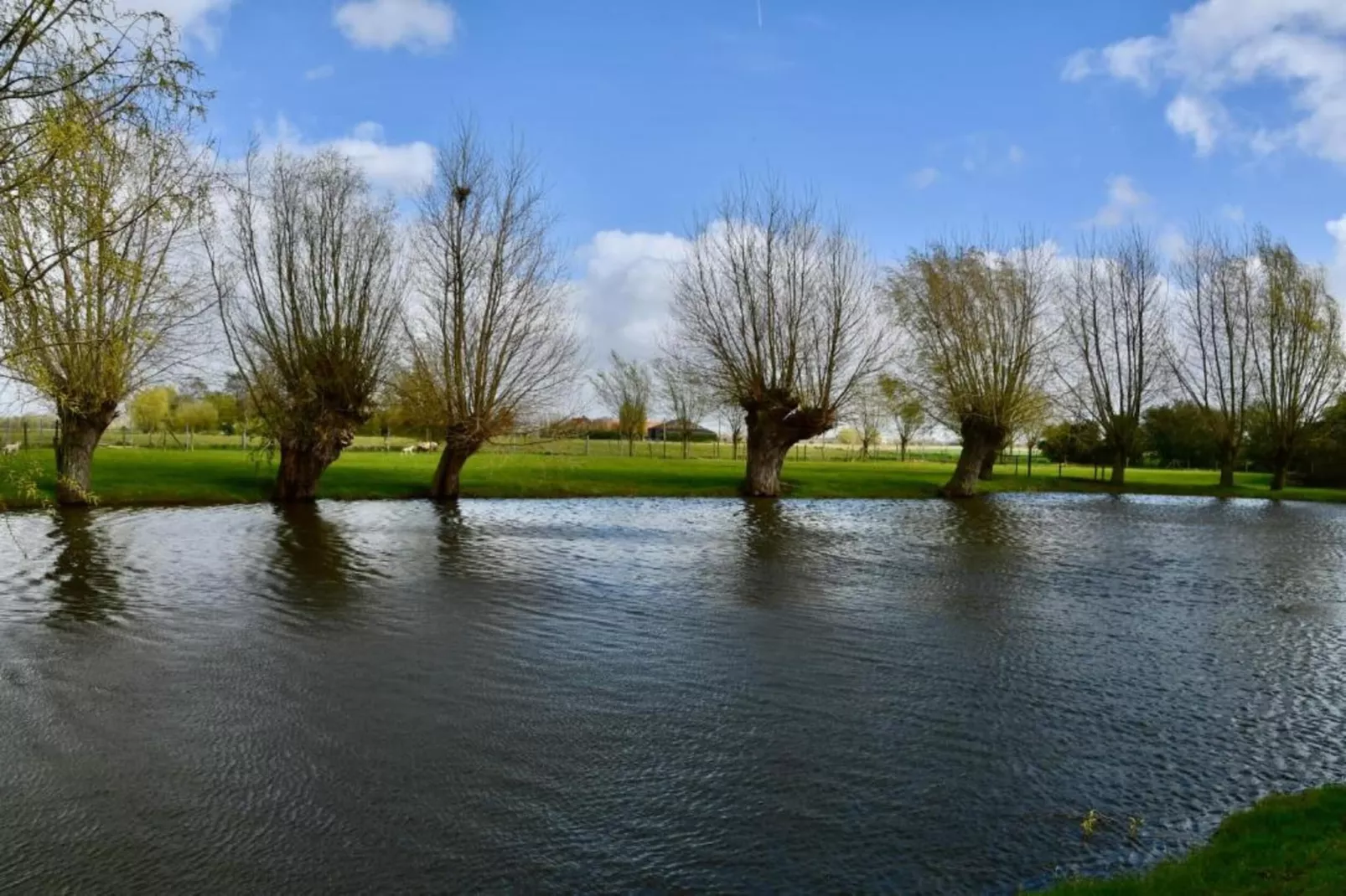 DOCKSIDE 403-Gebiete Sommer 20 km