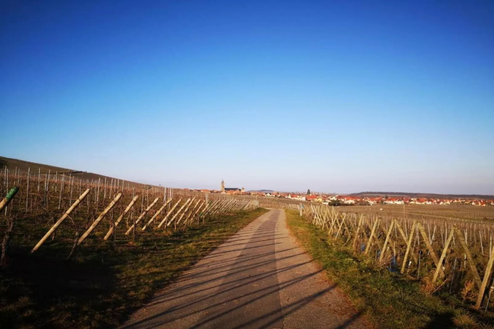 Magnifique Appartement Alsacien-Areas within 20km in summer