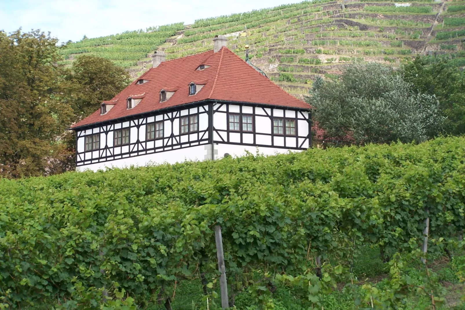 331225-Exterior in summer