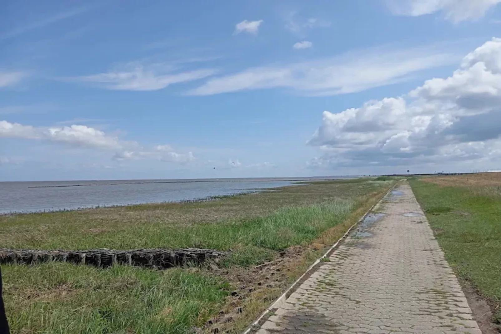 Bungalow Nordseebrise-Areas within 1km in summer
