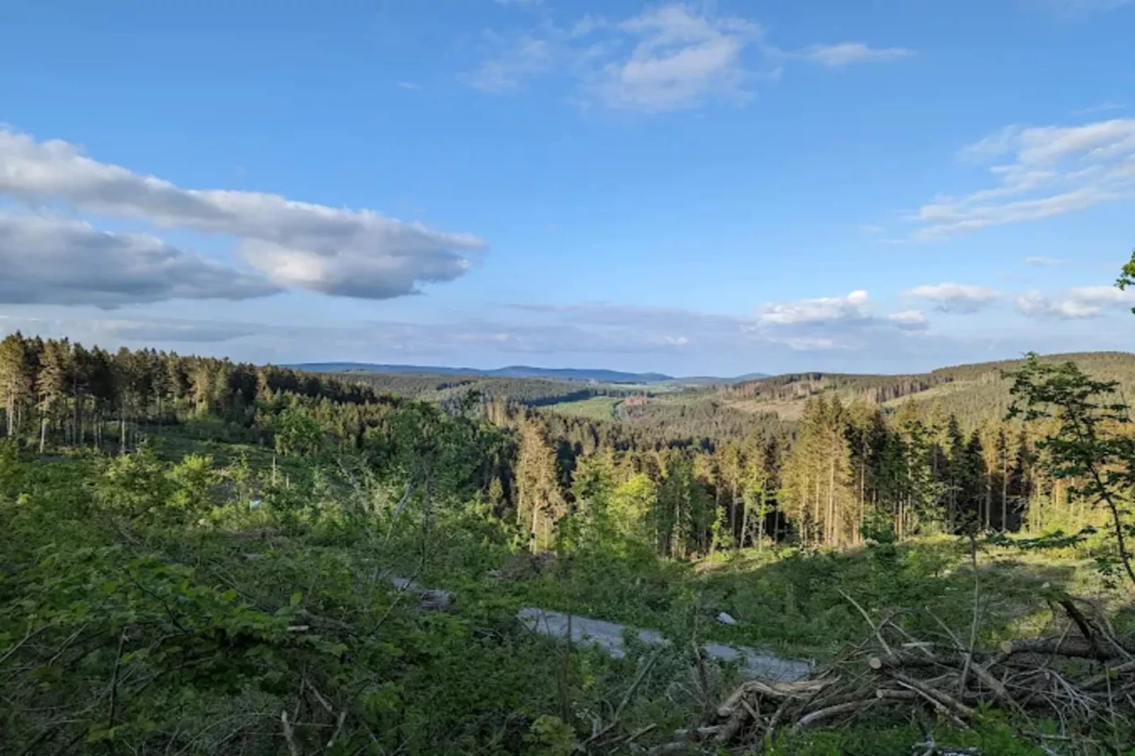 Appartement Lenneblick 2 - Altastenberg-Areas within 1km in summer