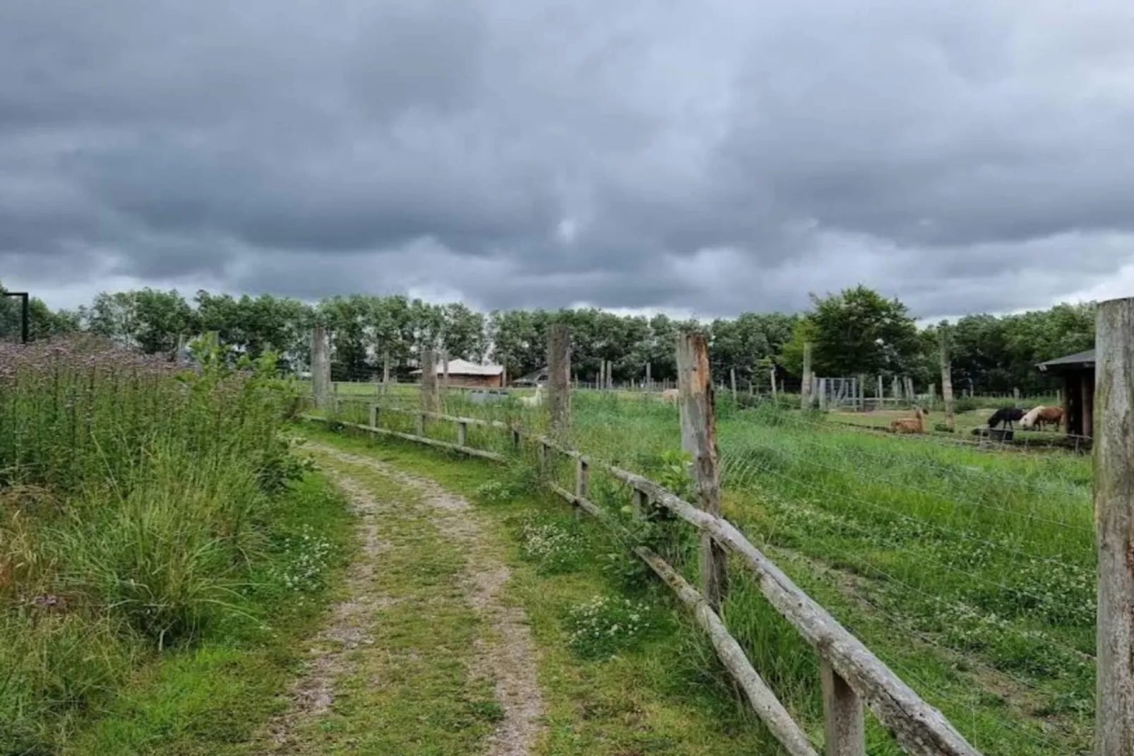 4 person holiday home in Grevinge-By Traum-Untagged