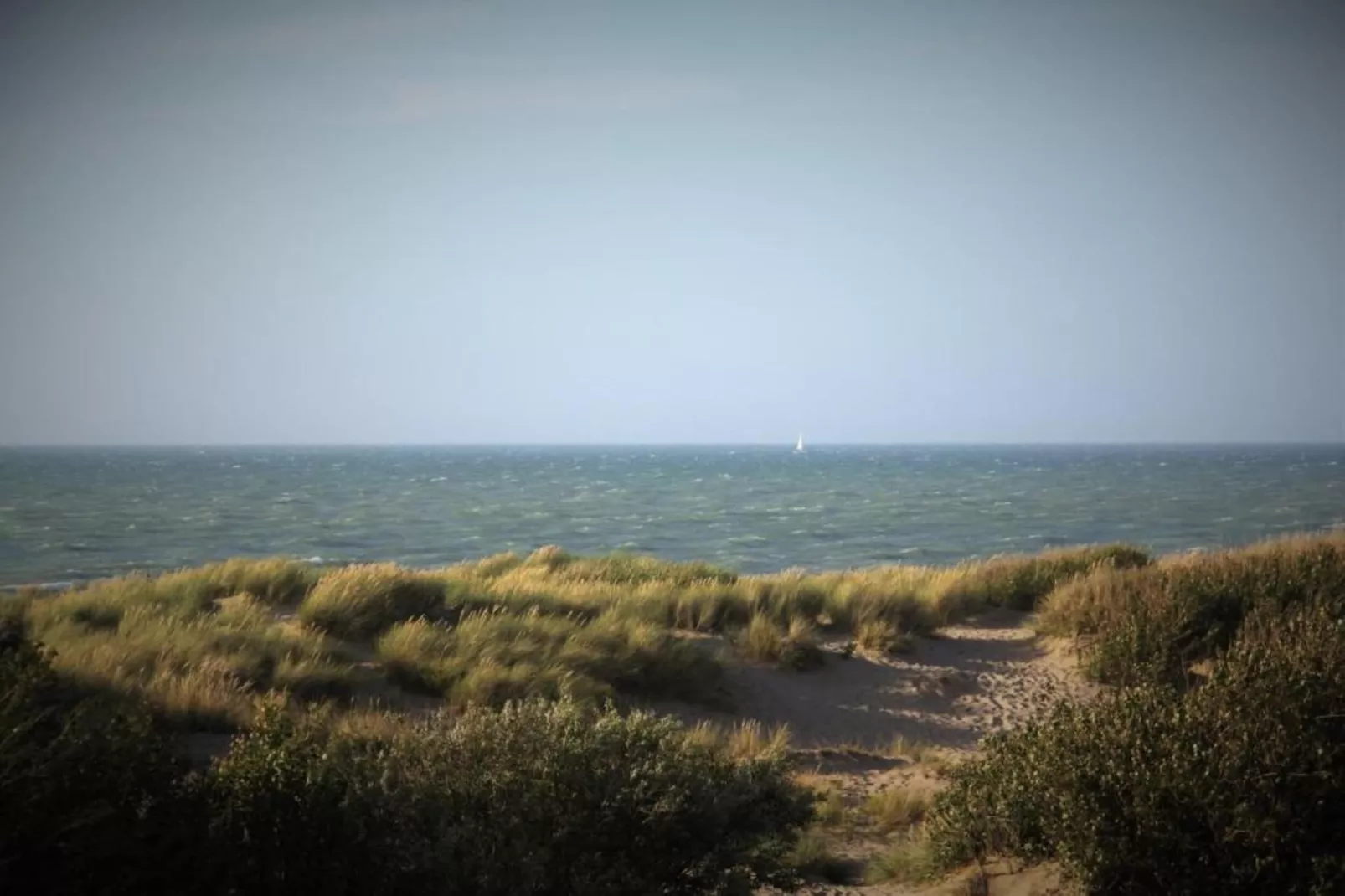 Rosalie 0202-Gebiete Sommer 20 km