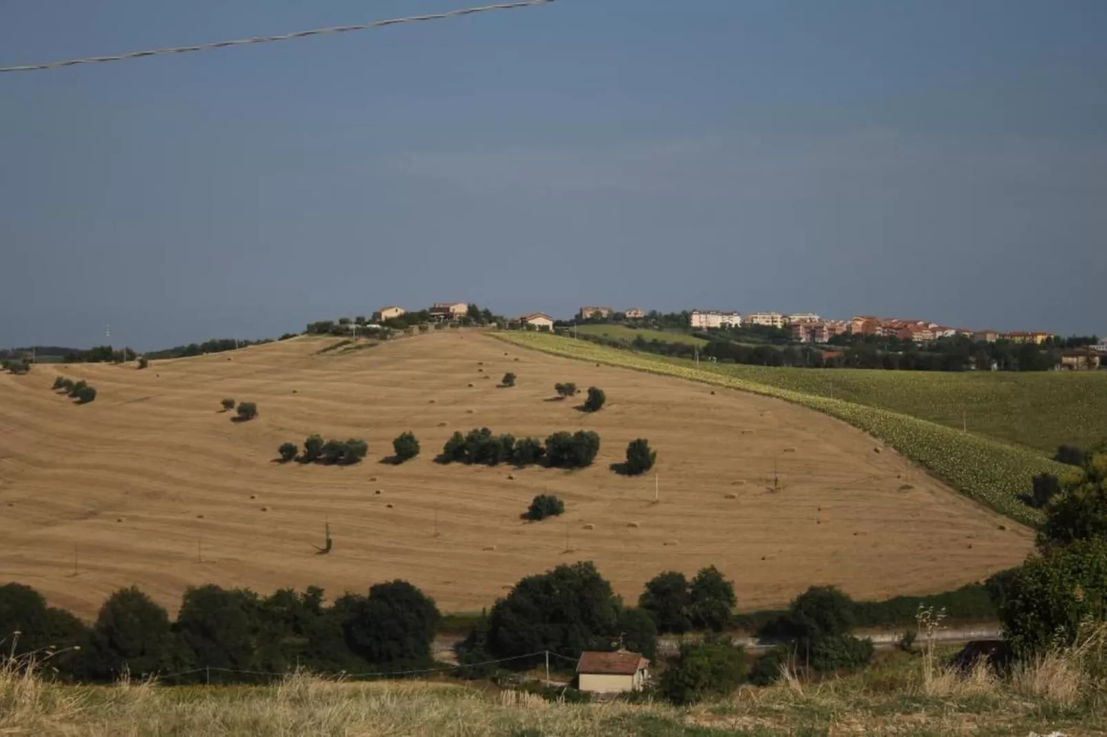 Pepe-Areas within 20km in summer