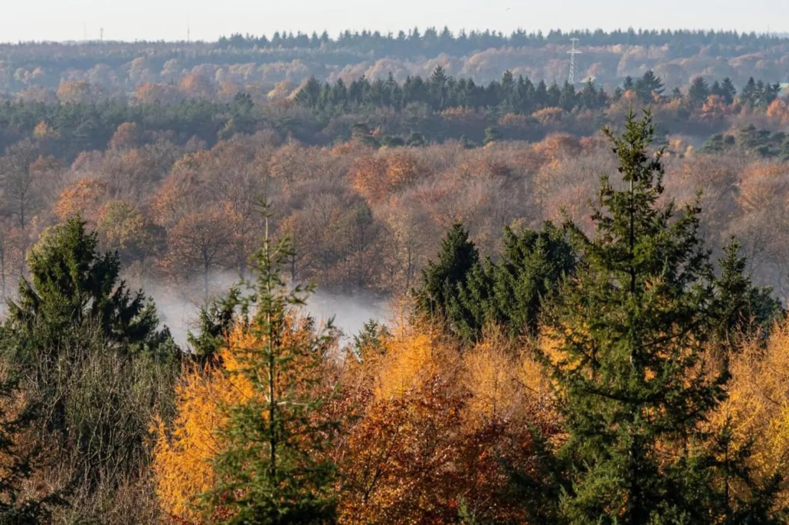 De Riek 4P-Areas within 20km in summer