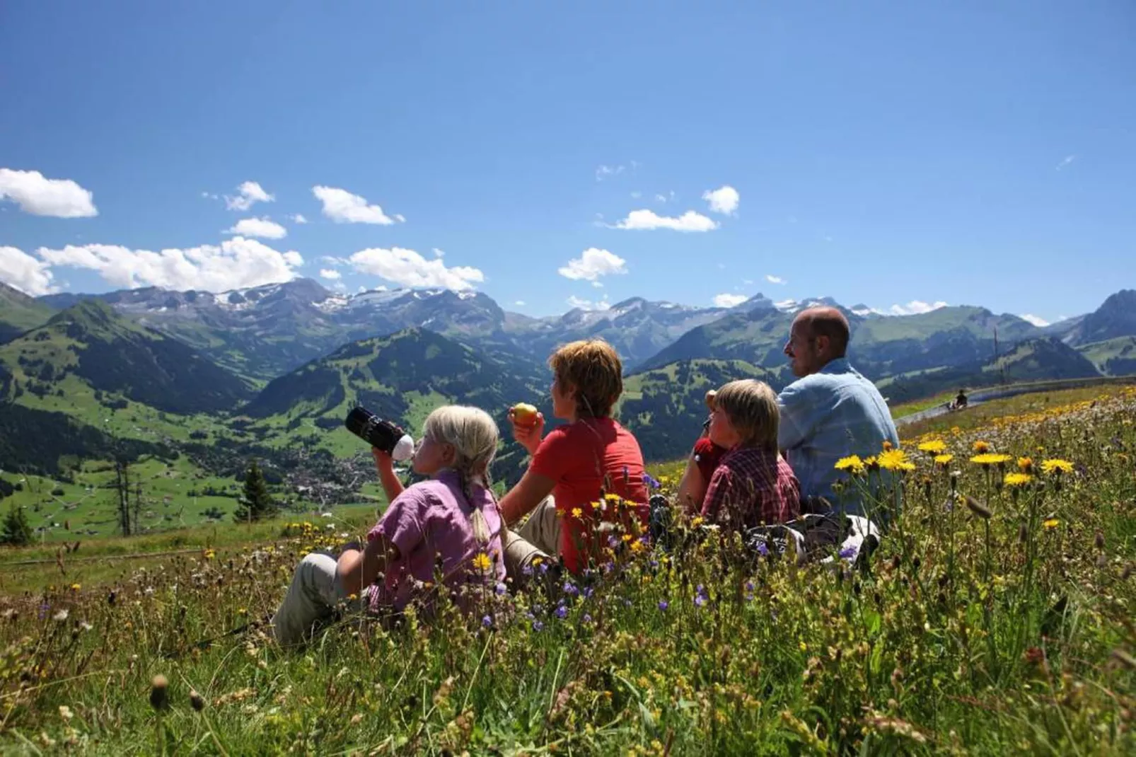 Gstaad Paradise View Chalet with Outdoor Jacuzzi-Areas within 20km in summer