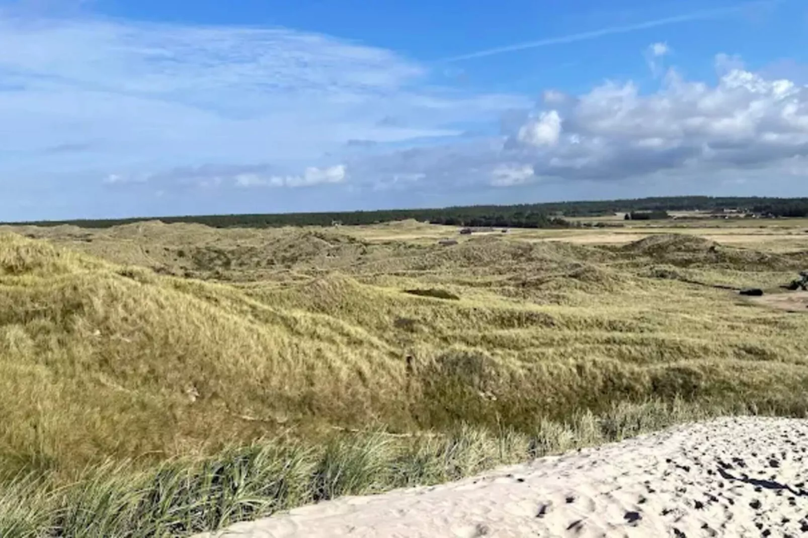 4 star holiday home in Ulfborg - Untagged