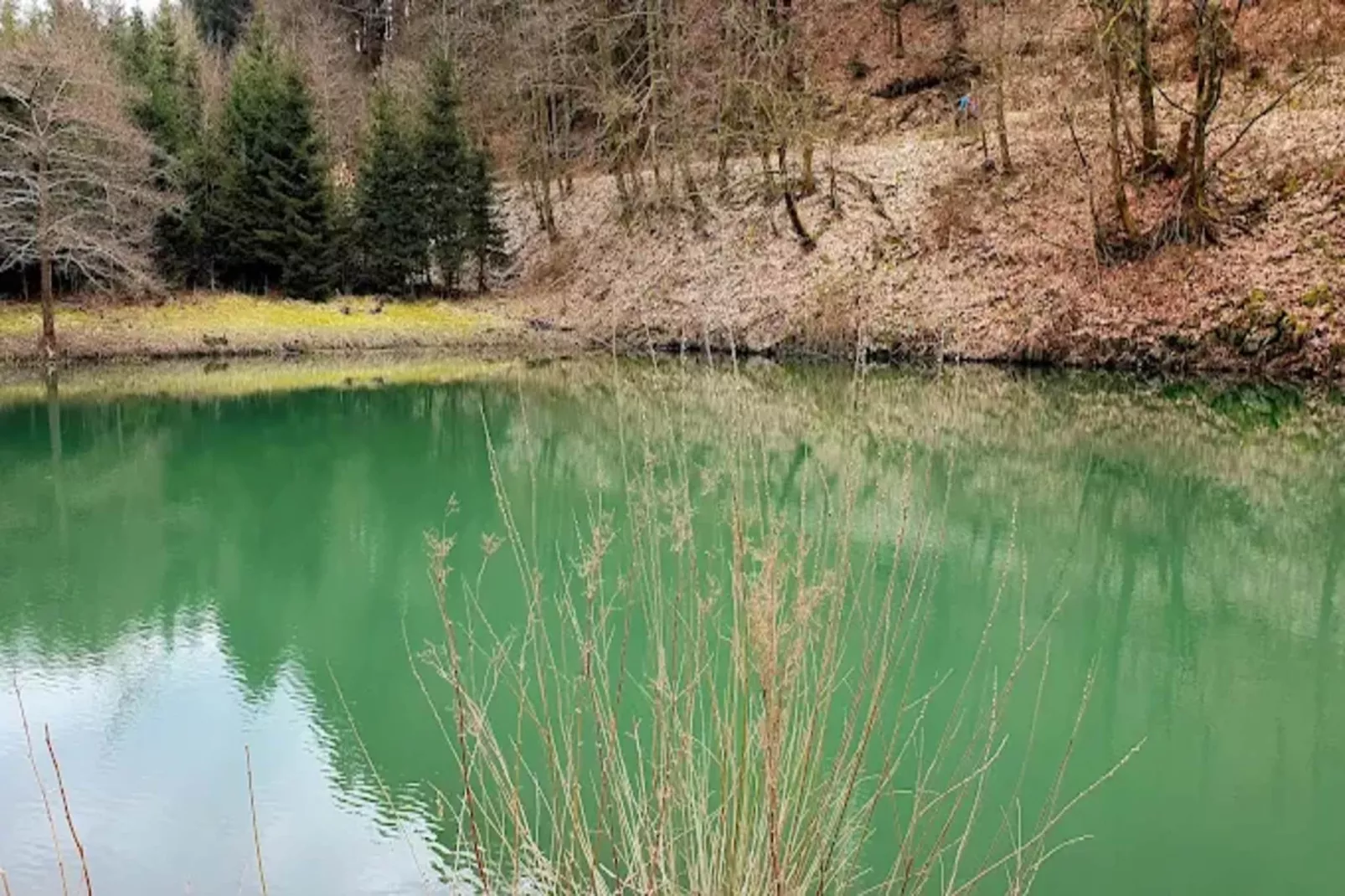 Kleine Auszeit Winterberg-Areas within 1km in summer