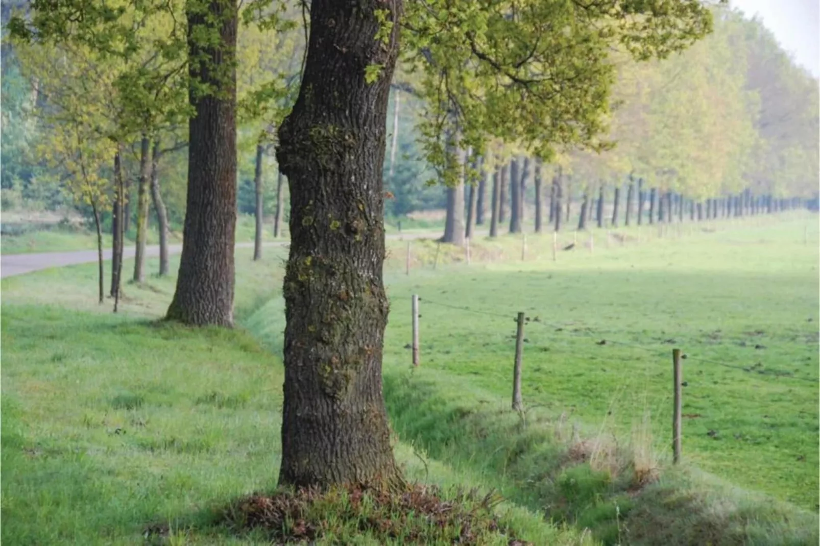 Dorpswoning Op Niveau 4-Areas within 20km in summer