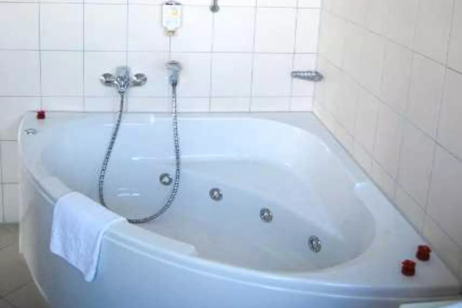 Schneeeule 203-Bathroom