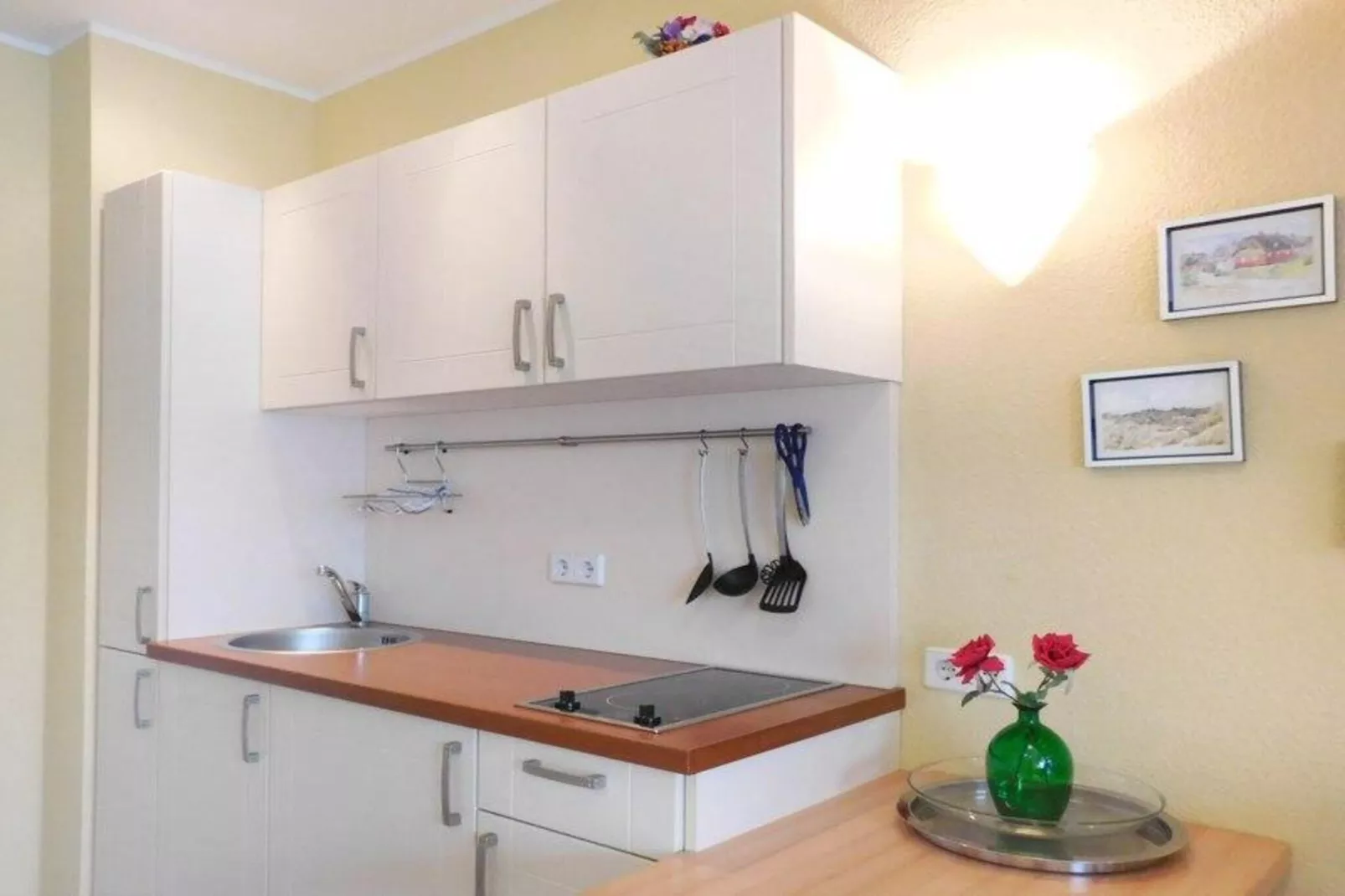 Schneeeule 223-Kitchen