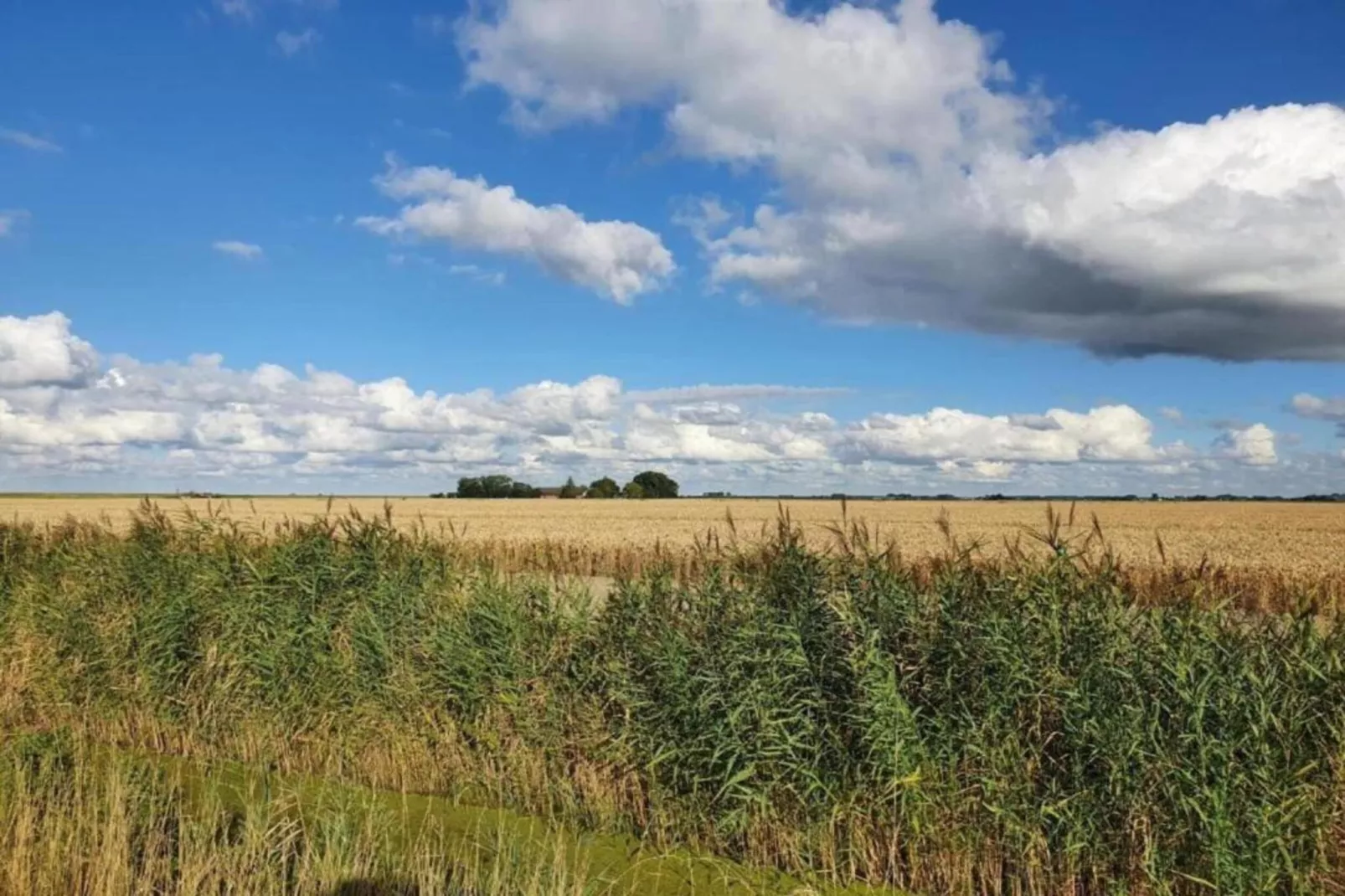 Standaard 308-Gebiete Sommer 20 km
