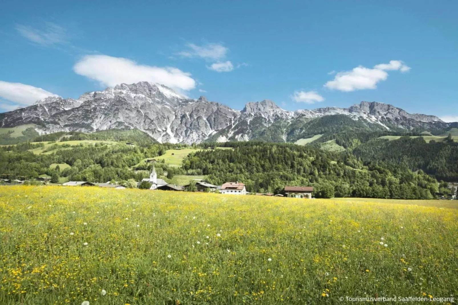 Doppelzimmer "Ziegen-Bartl" in Saalfelden-Gebiete Sommer 20 km