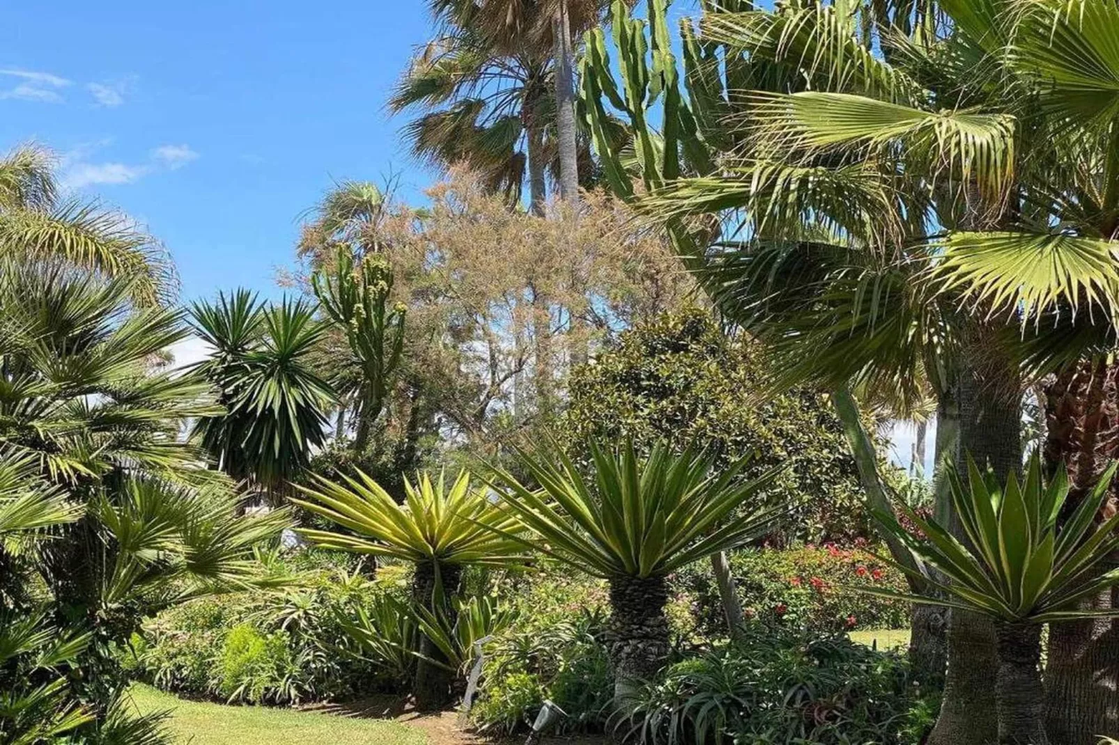 Benavista Studio - El Paraiso-Areas within 20km in summer