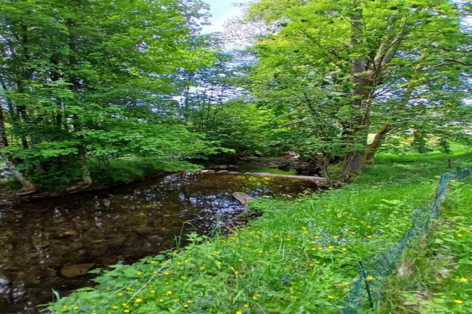 La Coccinelle et Salamandre-Areas within 20km in summer