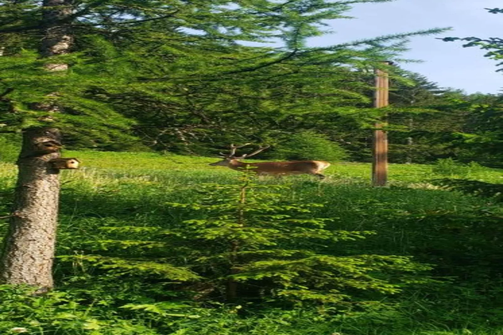 LA TURRA N°301 - 3P6-Areas within 20km in summer