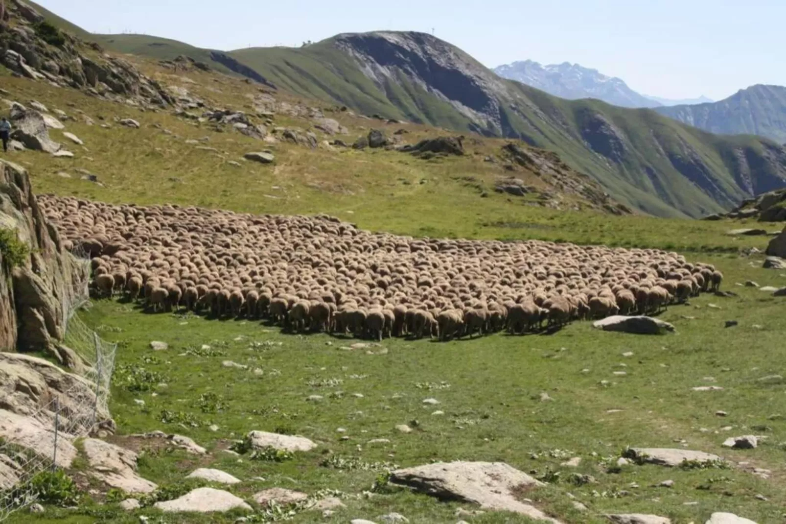 Les Marmottes N°34 - 3P6-Areas within 20km in summer