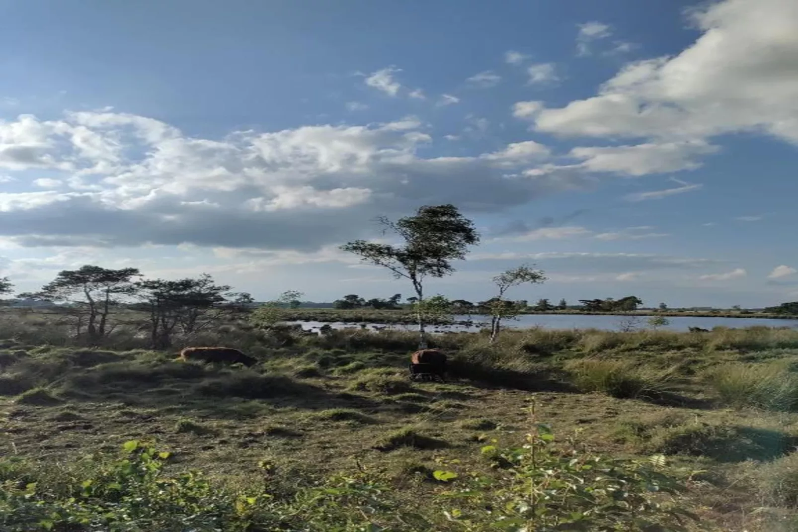 Ranger Lodge-Areas within 20km in summer