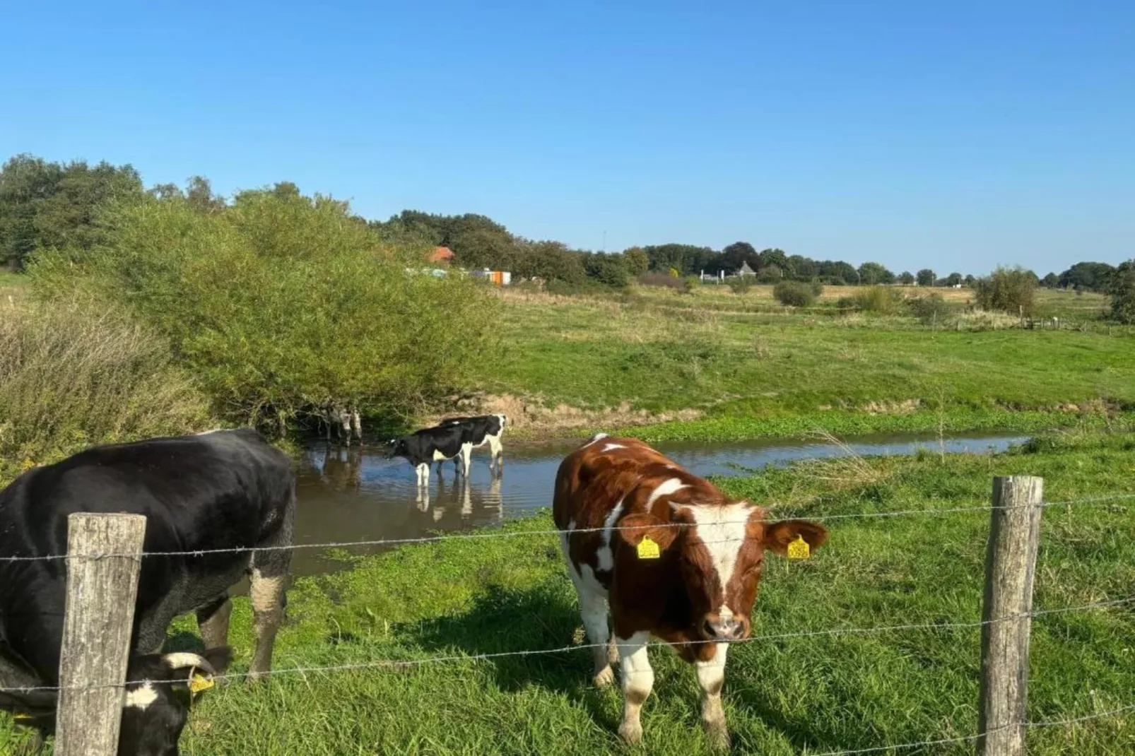 Vakantie bij Meeussen - Molendal 4-Areas within 20km in summer