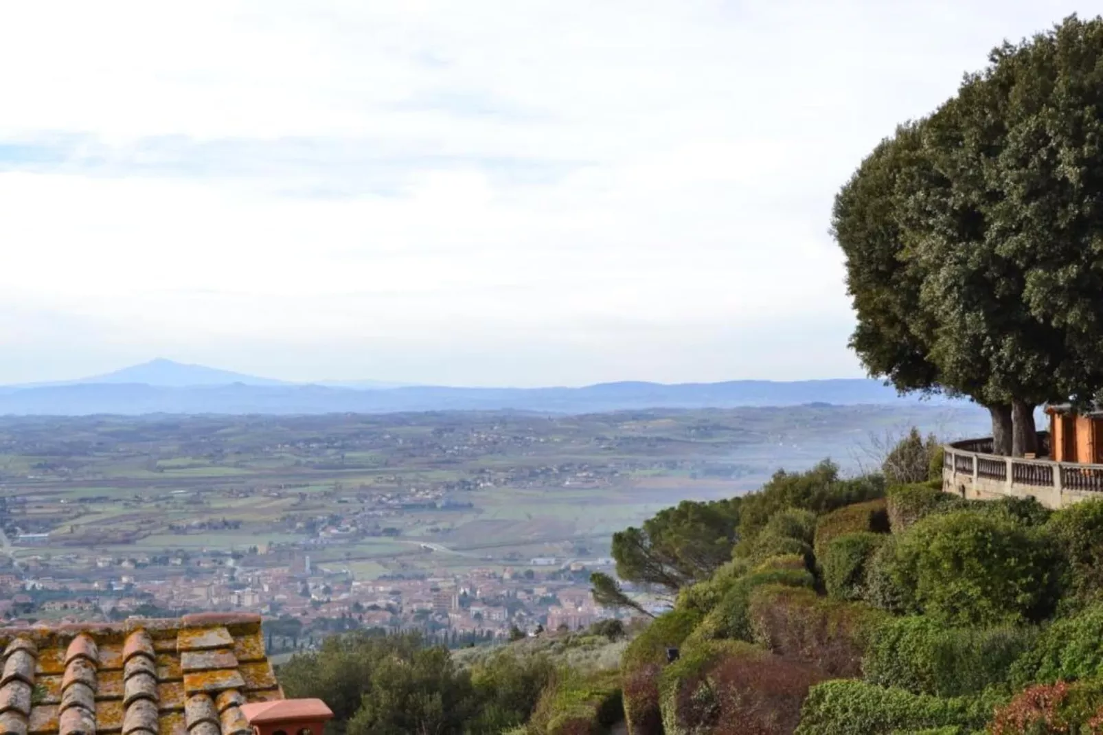 Orangerie degli Ulivi-Areas within 5km in summer