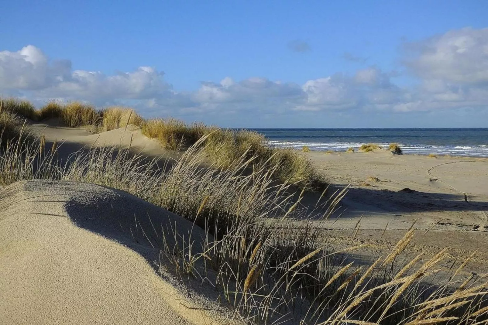 Lijsterhofstraat 13 - Knusse vakantiewoning nabij strand en centrum-Gebiete Sommer 5 km