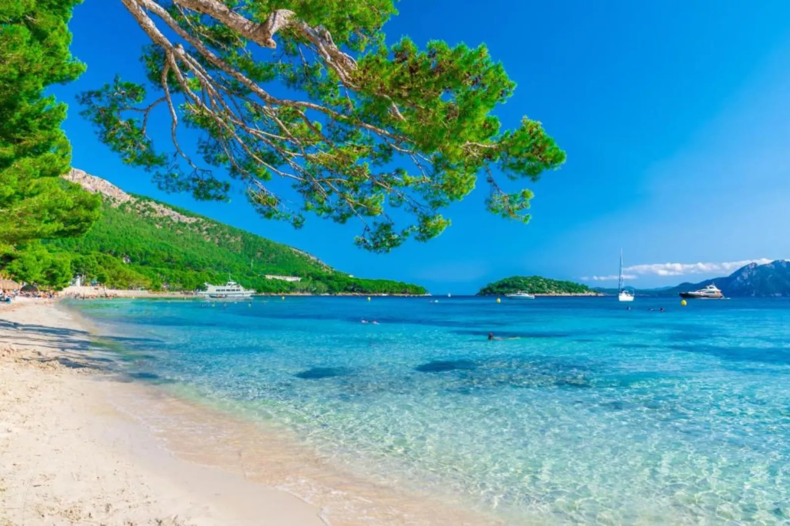 Blue Bay-Zones d'été à 1 km