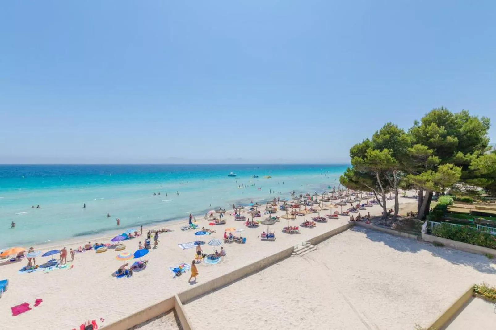 Carabela 44-Areas within 20km in summer