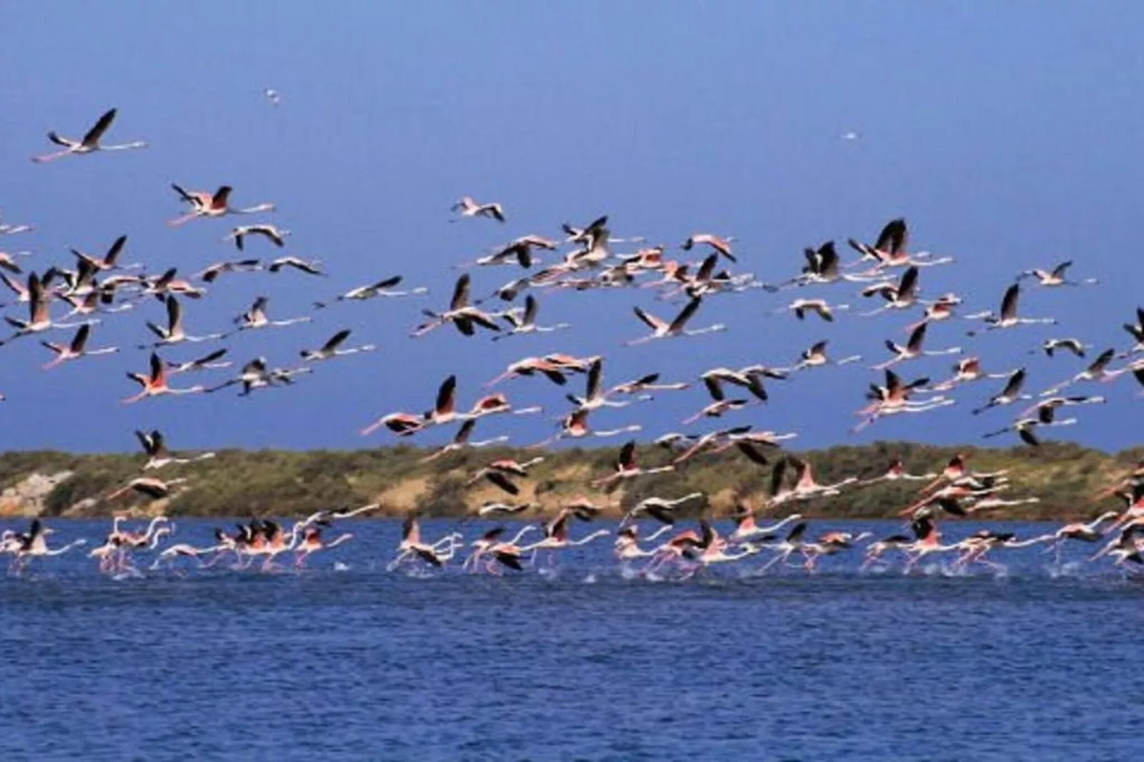 Cap Camargue B N 26 - 2P4-Zones été à 20 km