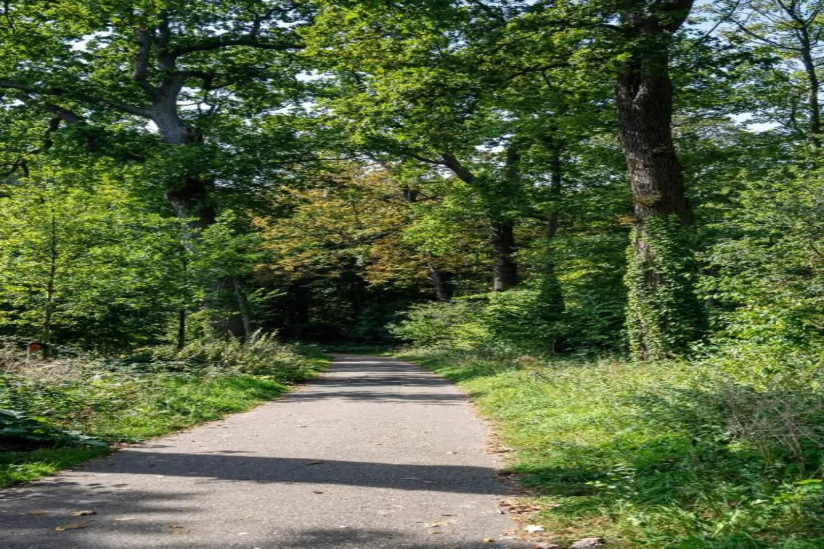 Delft 5B-Areas within 20km in summer