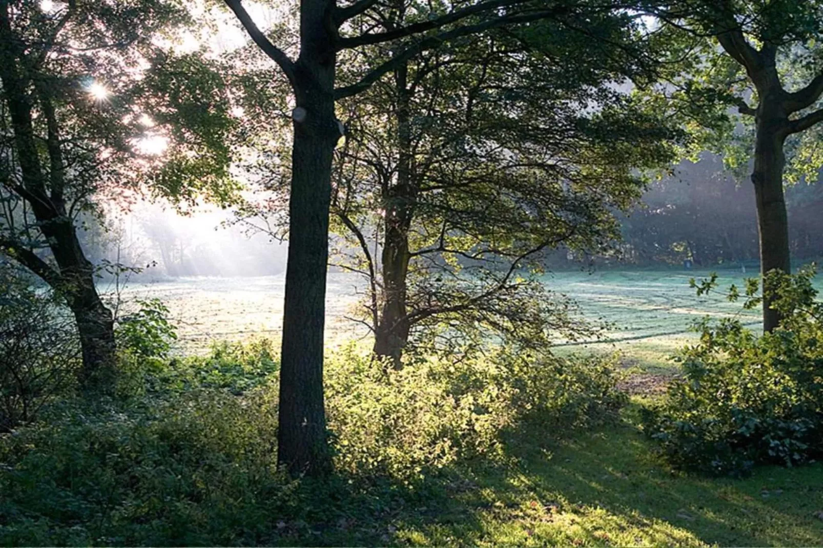 Delft 4C - Areas within 20km in summer