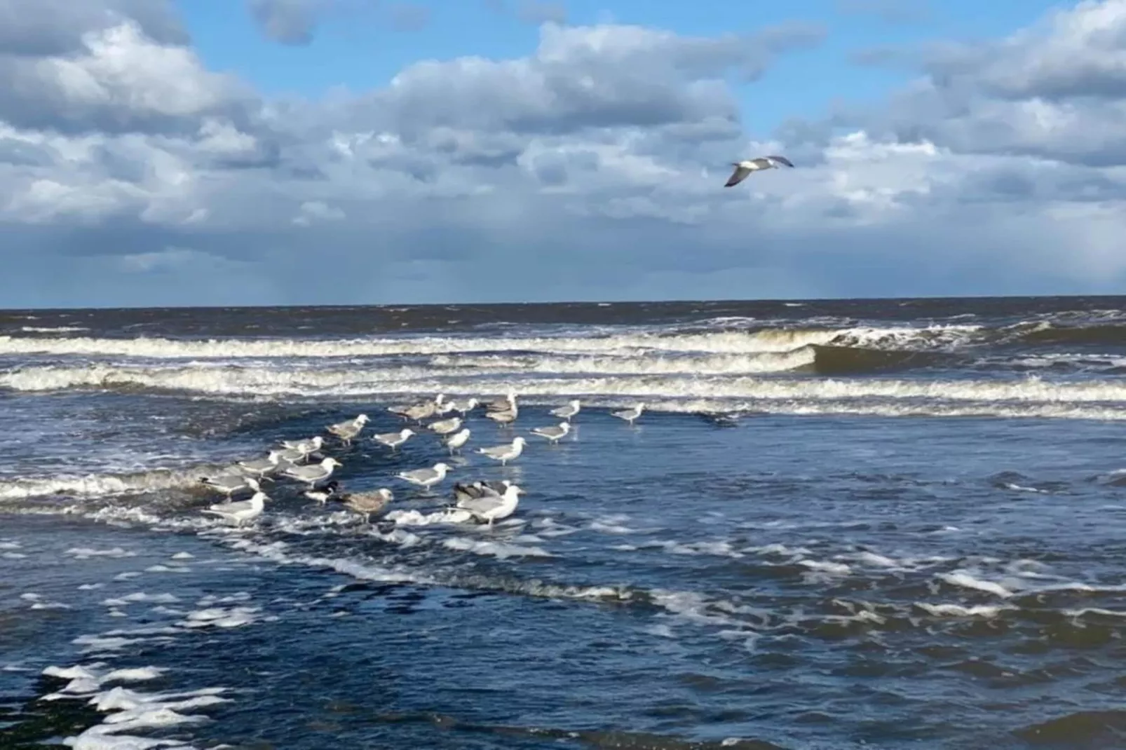 Anzelhoef Apartment Oost-Gebiete Sommer 5 km