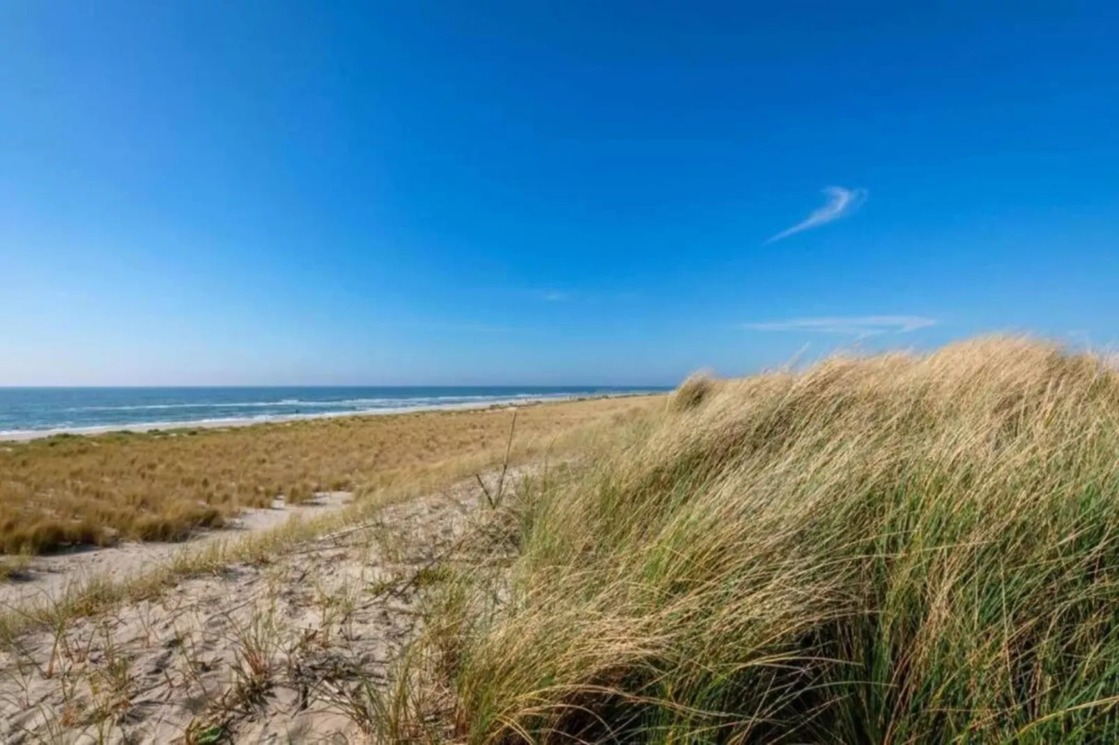 Anzelhoef apartment West-Areas within 5km in summer