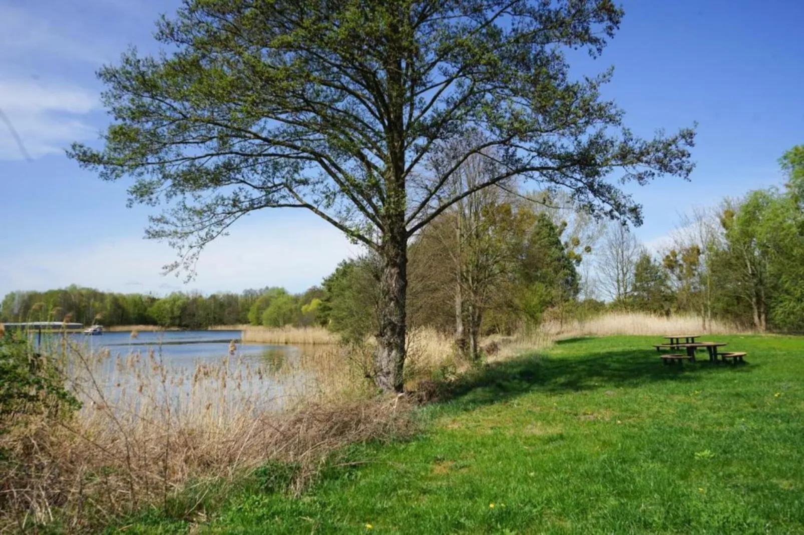 Hausboot in Zehdenick-Areas within 20km in summer
