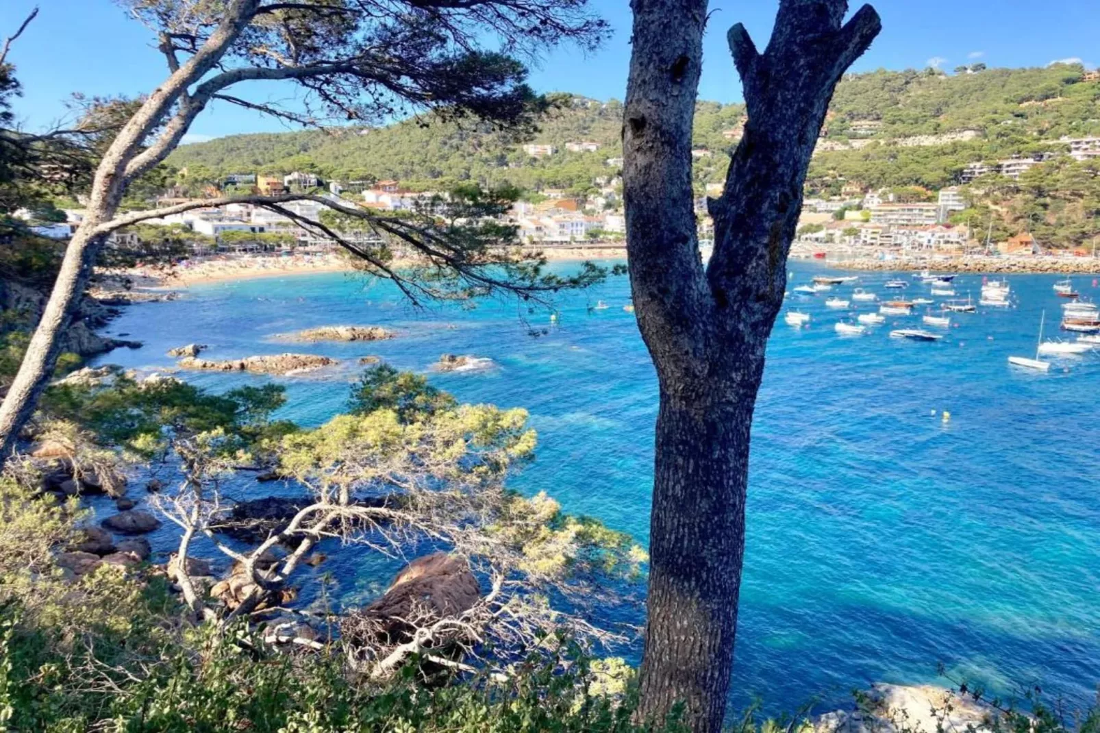 Gregal-Areas within 20km in summer