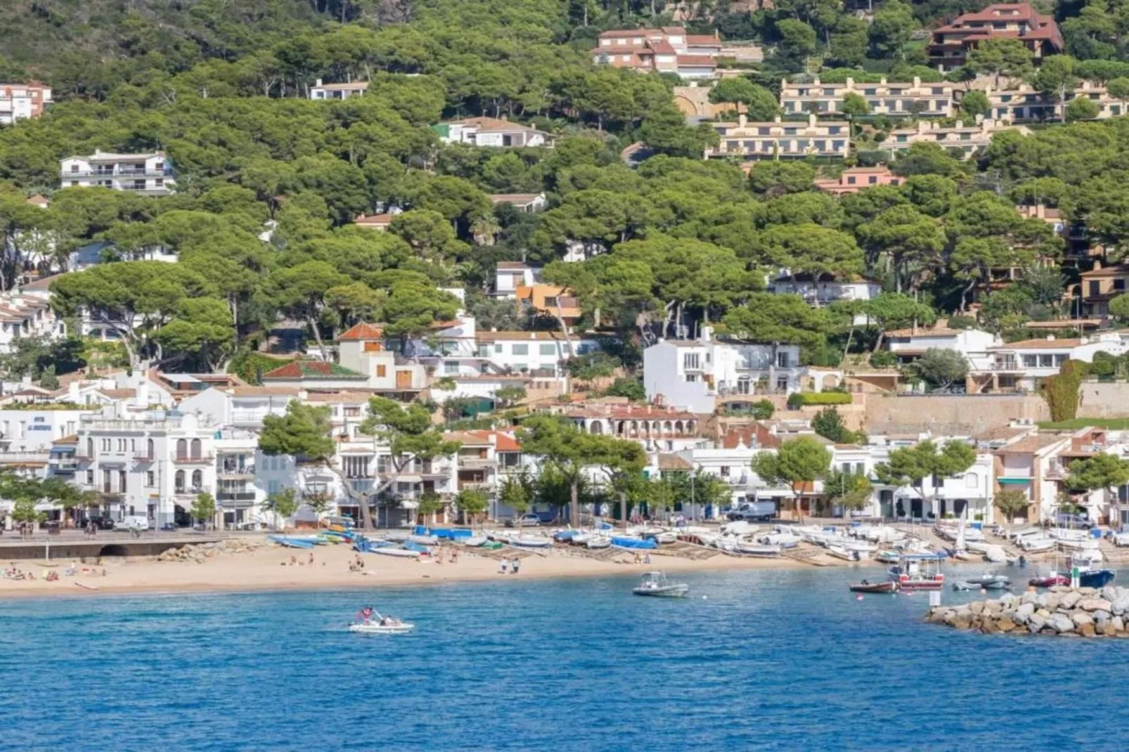 RosaMar - Areas within 20km in summer