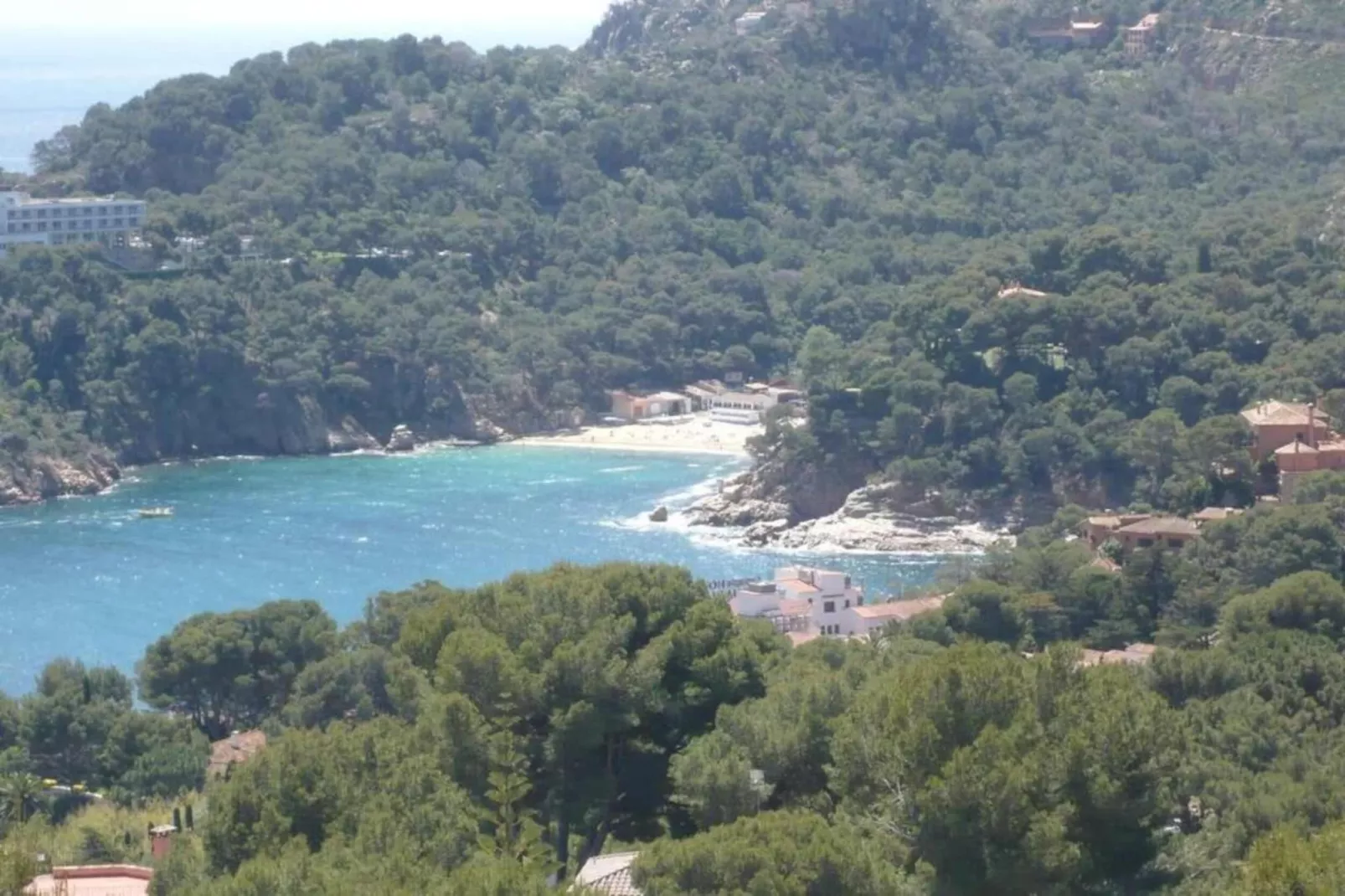 Tensi-Areas within 20km in summer