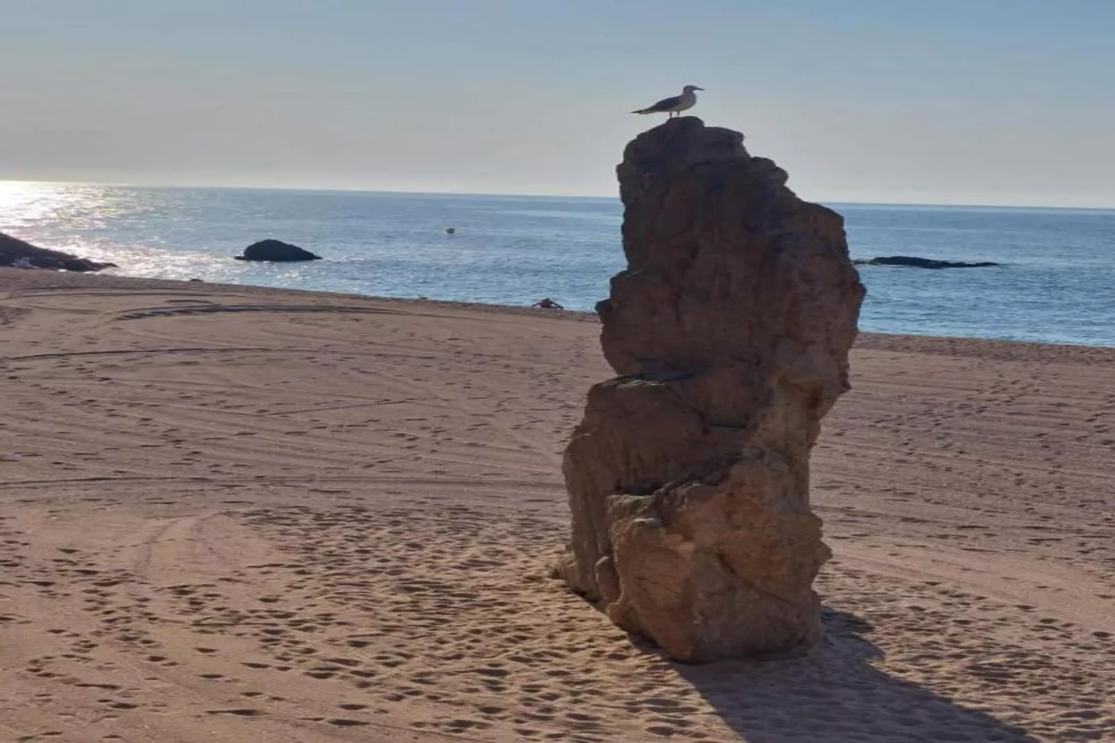 Araceli-Areas within 20km in summer