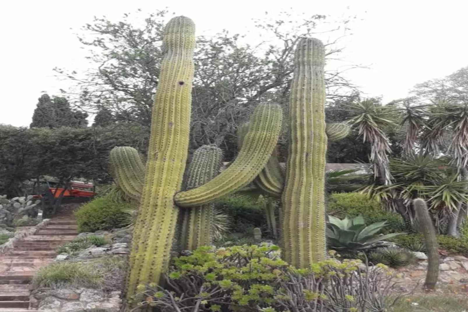 Cipresos 14pax-Areas within 20km in summer