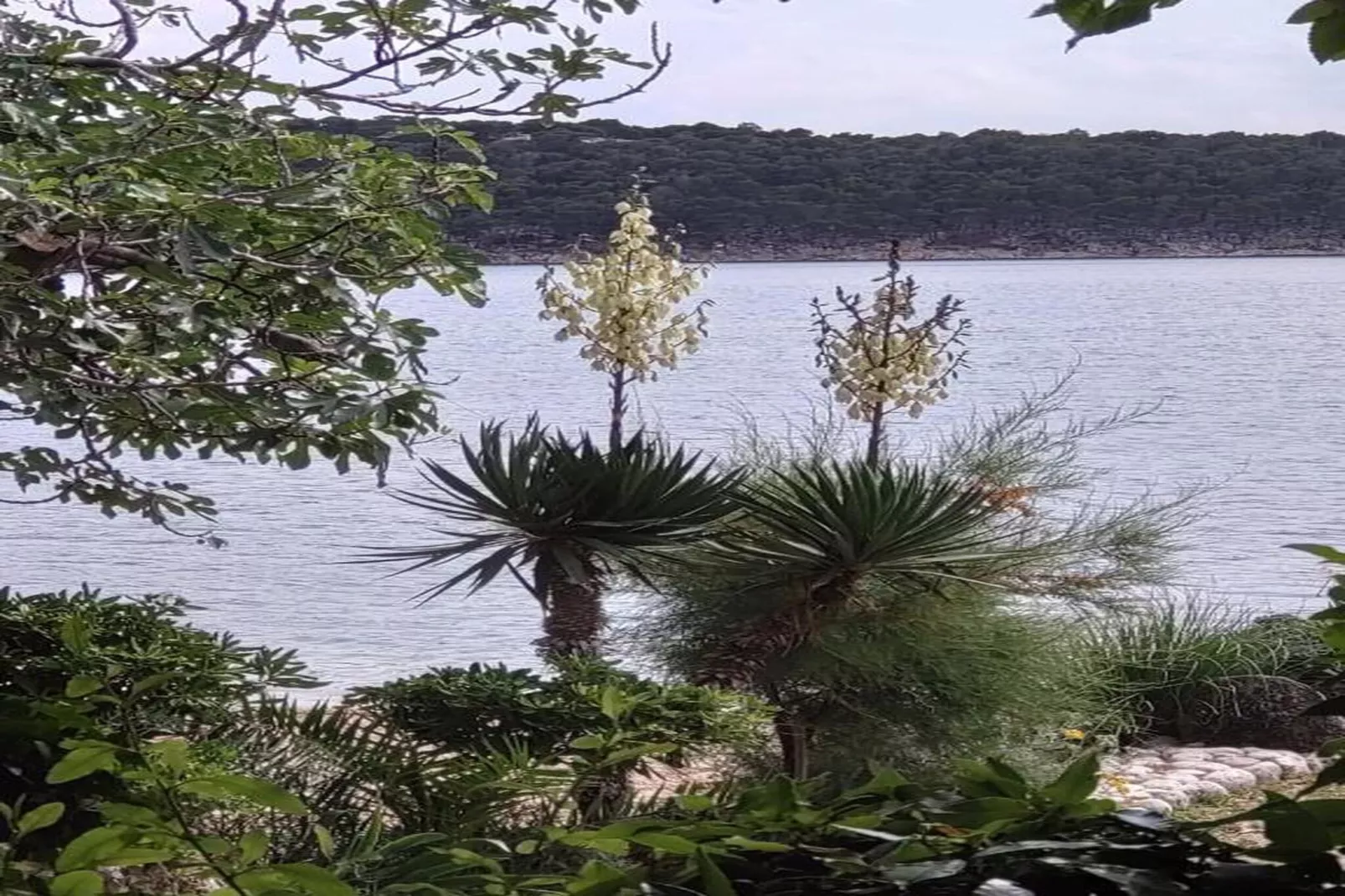 Max - Sea View, One Bedroom Apt with Terrace-Areas within 20km in summer