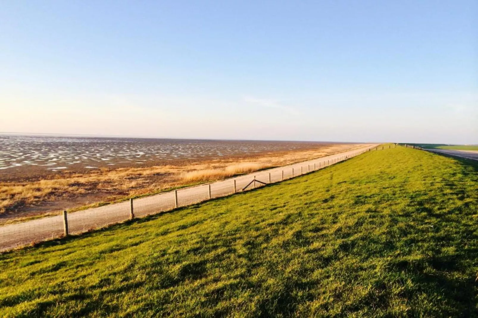 Bargereed 90-Areas within 5km in summer