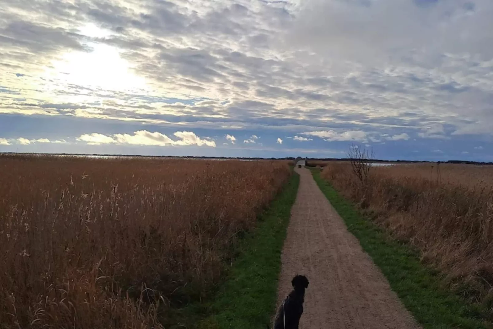 Maison de vacances pour 2 a Ringkøbing-Non tagué