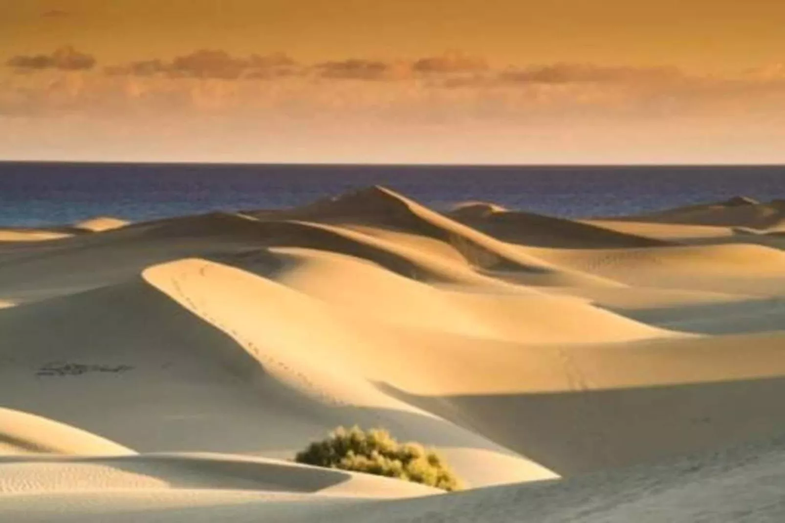 LOS TUNOS 29-Areas within 20km in summer