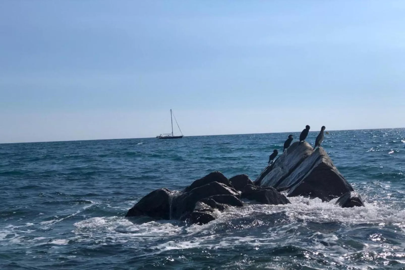 Costa Dorada: Maia-Gebiete Sommer 5 km